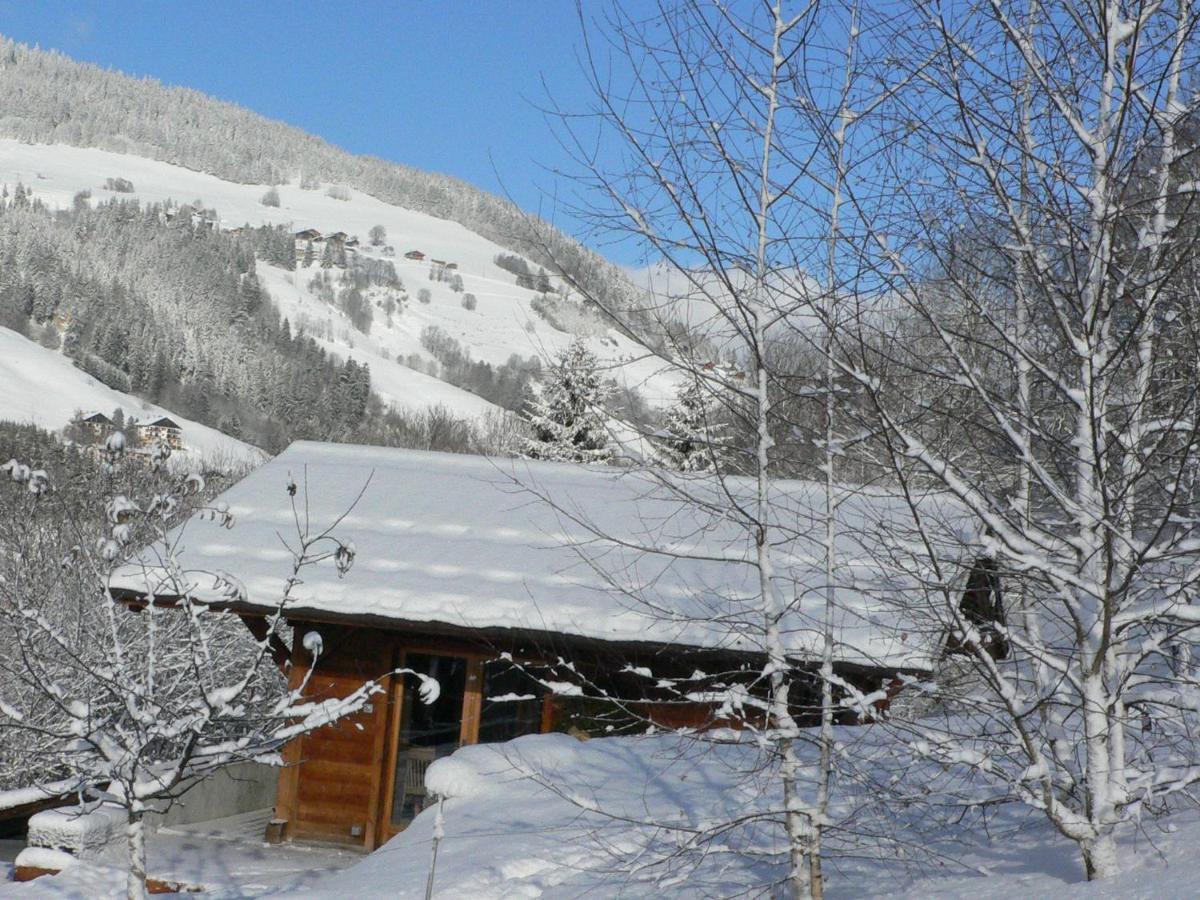מגב Petit Chalet Individuel De Caractere מראה חיצוני תמונה